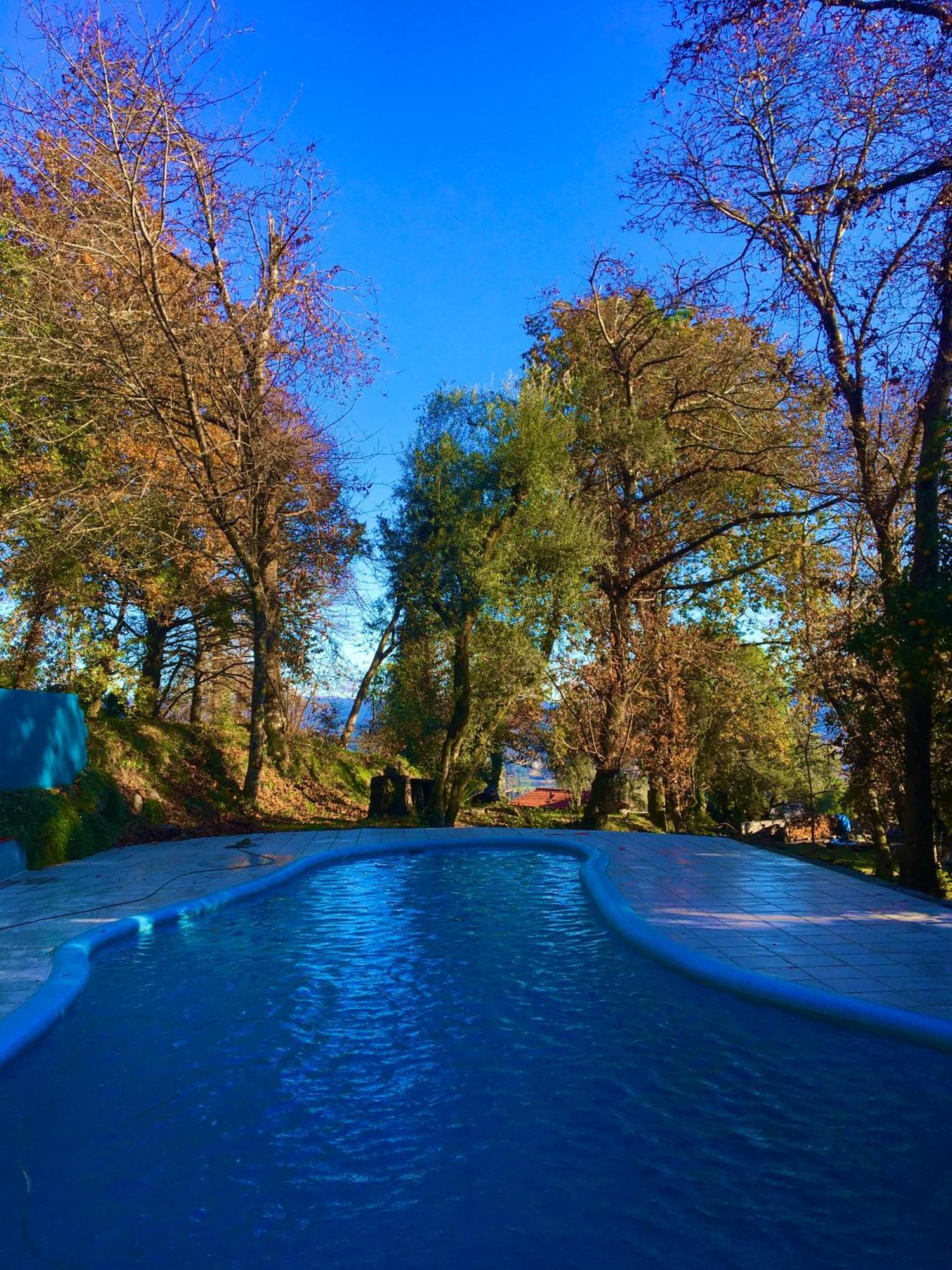 הוילה Pico Quinta Abelha מראה חיצוני תמונה