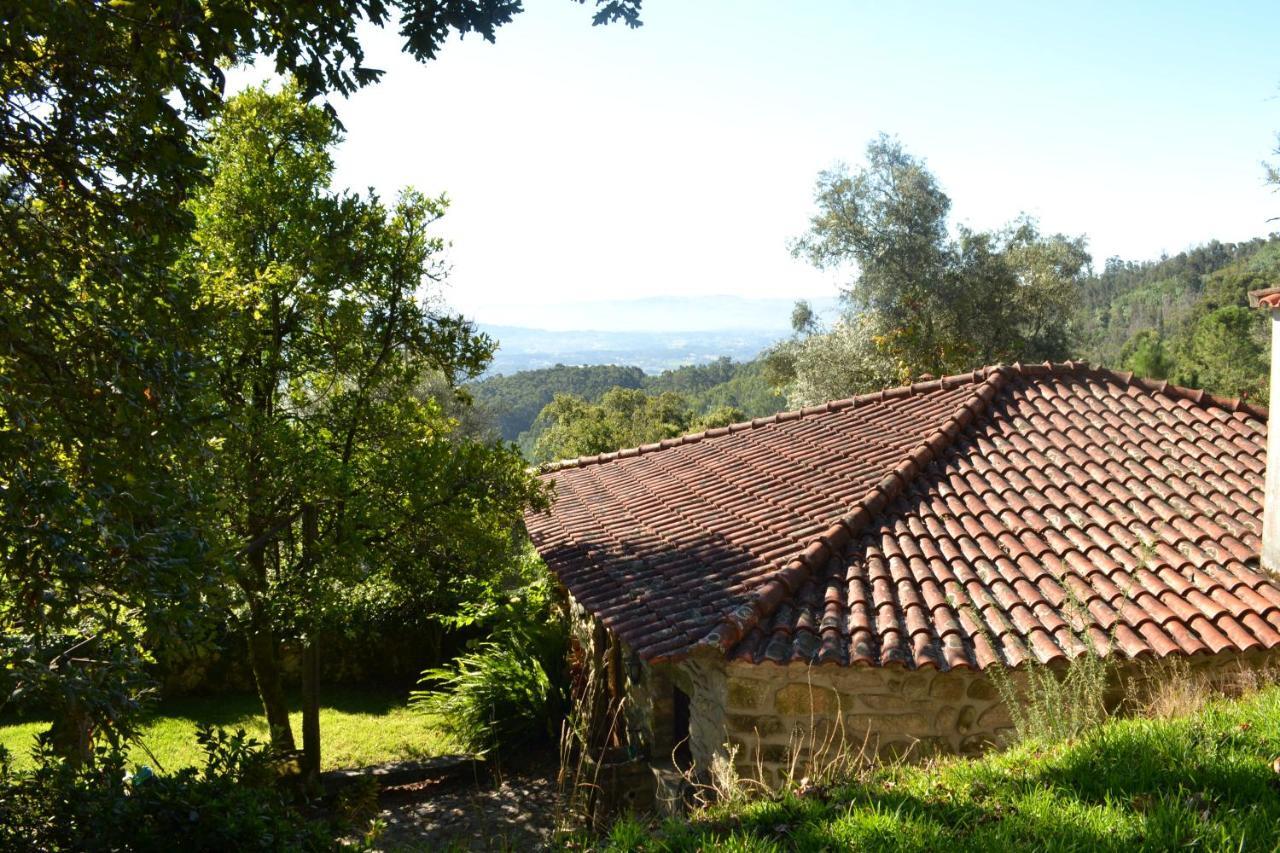 הוילה Pico Quinta Abelha מראה חיצוני תמונה