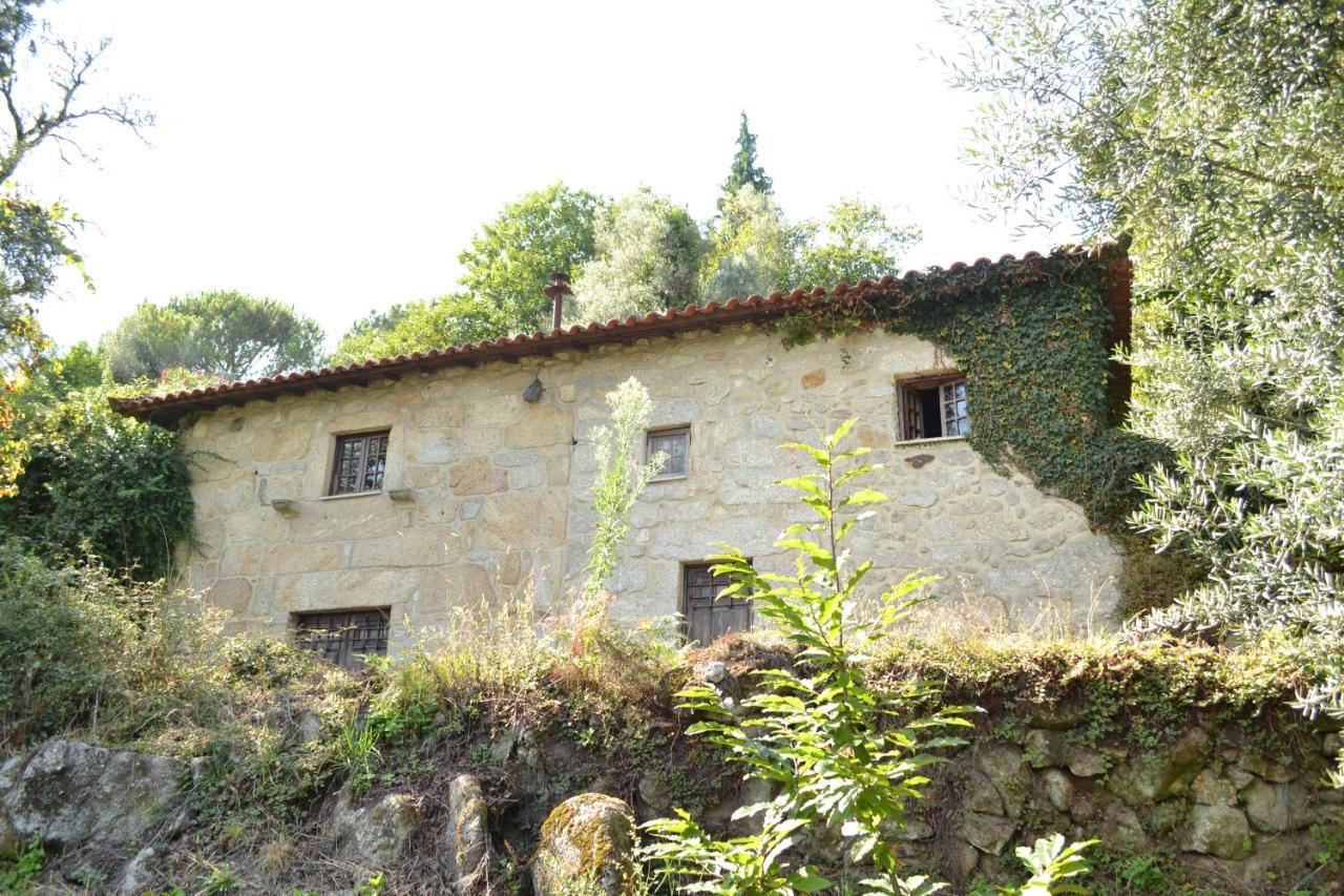 הוילה Pico Quinta Abelha מראה חיצוני תמונה